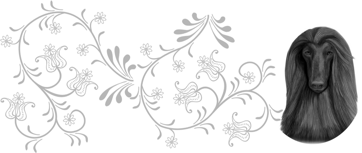 Tools & Equipment The Nash Collection