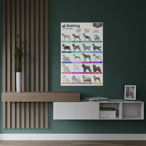 Technical Directions: Bathing Guide by Coat Types: Satin Paper