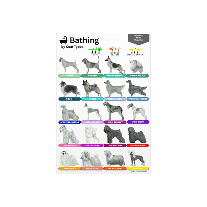 Technical Directions: Bathing Guide by Coat Types Foam Board