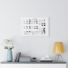 20 Coat Types Chart - Framed Horizontal Poster for Pet Lovers