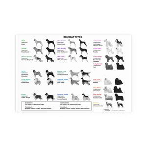 The Nash System of Pet Care Education: 20 Coat Types Poster