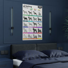 Technical Directions: Bathing Guide by Coat Types: Satin Paper