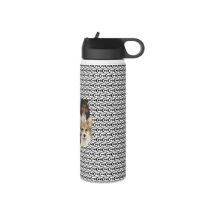 Nash Logo with Collage Stainless Steel Water Bottle, Standard Lid