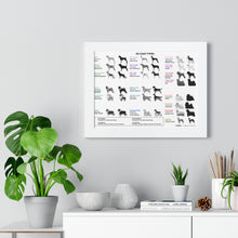 20 Coat Types Chart - Framed Horizontal Poster for Pet Lovers