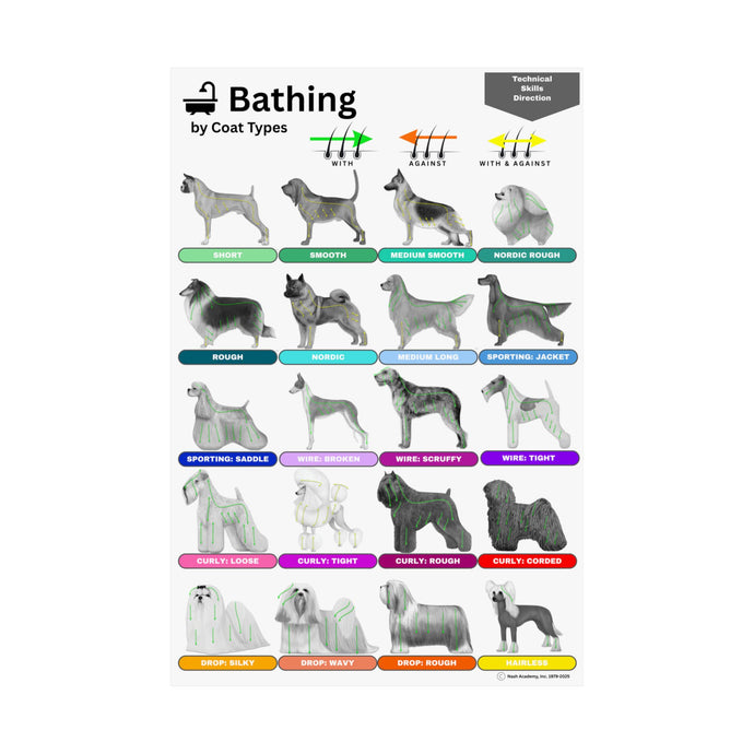 Technical Directions: Bathing Guide by Coat Types: Satin Paper