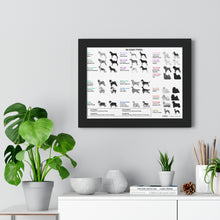 20 Coat Types Chart - Framed Horizontal Poster for Pet Lovers