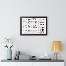20 Coat Types Chart - Framed Horizontal Poster for Pet Lovers
