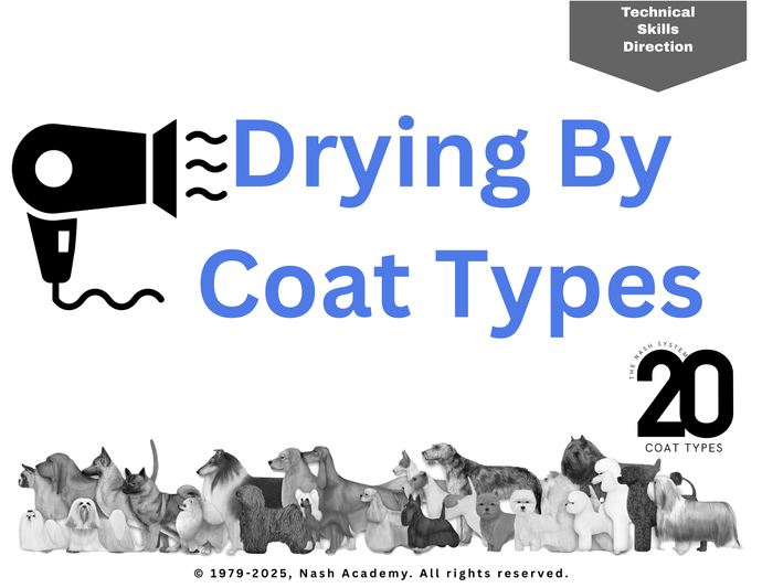 Drying By Coat Types