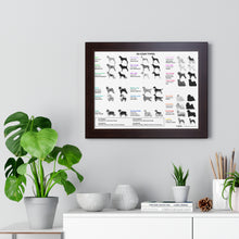 20 Coat Types Chart - Framed Horizontal Poster for Pet Lovers