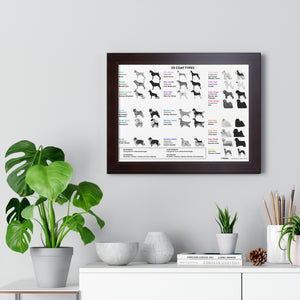20 Coat Types Chart - Framed Horizontal Poster for Pet Lovers
