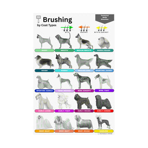 Technical Directions: Brushing Guide by Coat Types: Satin Paper