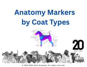 Anatomy Markers By Coat Types