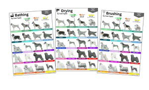Technical Directions: Bathing, Drying, Brushing - Satin Paper