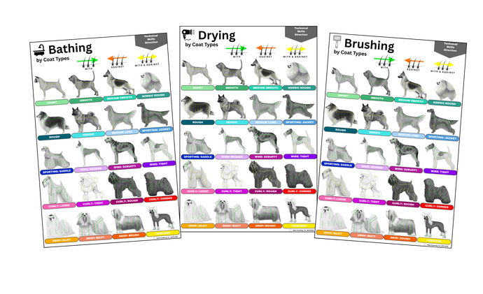 Technical Directions: Bathing, Drying, Brushing - Satin Paper