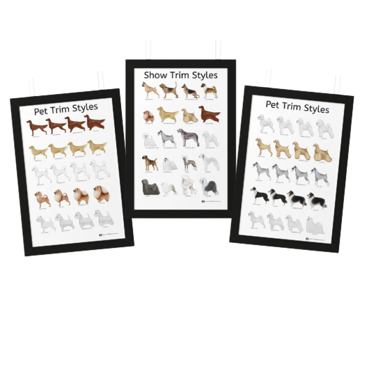 3-Pack Trim Style Posters – Dog Grooming Salon Bundle (Framed)