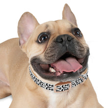 Nash Academy Logo Dog Collar