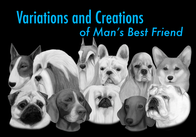 Variations and Creations of Man's Best Friend